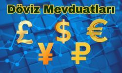 Döviz mevduatları yükseldi