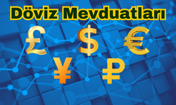 Döviz mevduatları arttı