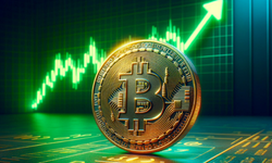 Bitcoin Zirve Yaptı, ETF’lere Rekor Para Girişi