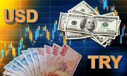 Hollandalı bankacılık devinden dolar/TL tahmini
