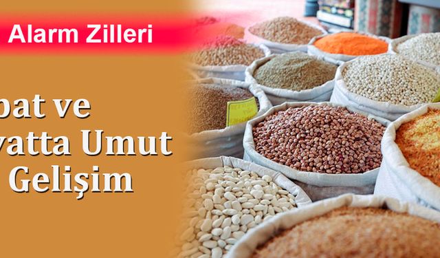 Hububat ve Bakliyatta Umut Veren Gelişim