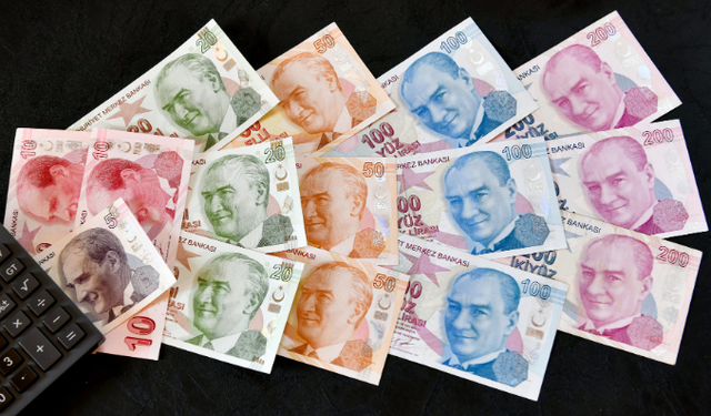 Hazine’nin İlk TÜFE Endeksli Tahvil İhalesi Yapıldı