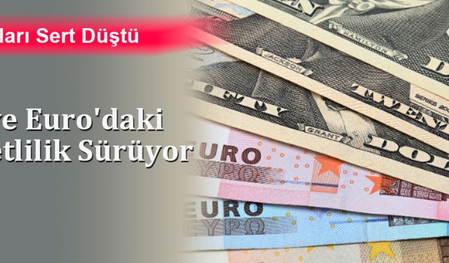 Dolar ve Euro'daki Hareketlilik Sürüyor