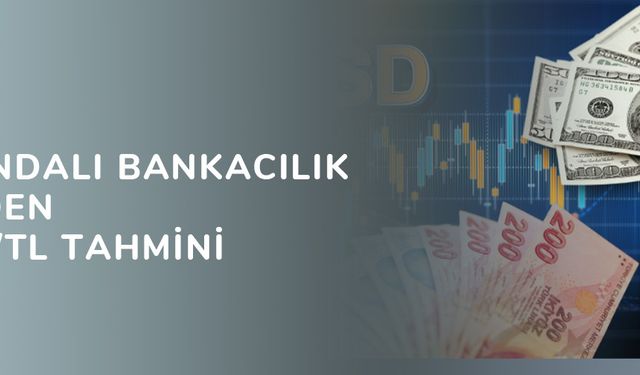 Hollandalı bankacılık devinden dolar/TL tahmini