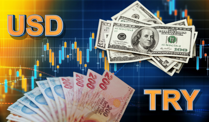 Hollandalı bankacılık devinden dolar/TL tahmini