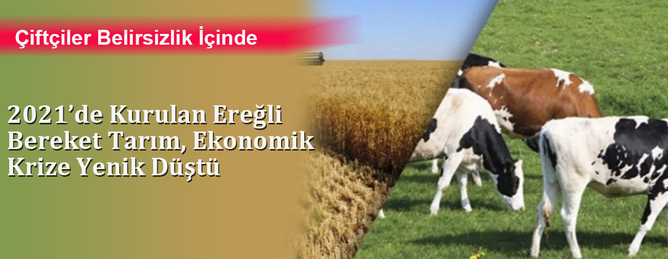 2021’de Kurulan Ereğli Bereket Tarım, Ekonomik Krize Yenik Düştü