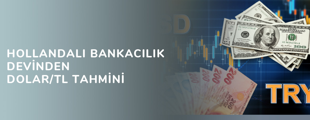 Hollandalı bankacılık devinden dolar/TL tahmini